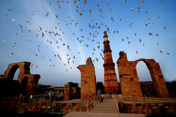 Delhi Private Custom Sightseeing Day Tour