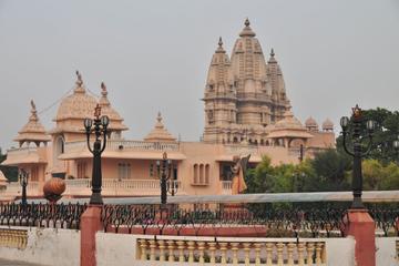 Historic Delhi Morning Tour Including Chattarpur Temple and Qutub Minar with Tuk-Tuk Ride