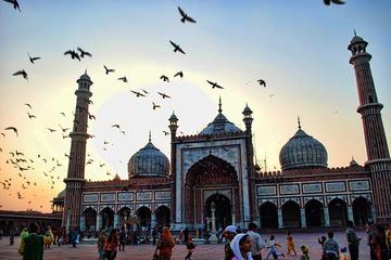 Old Delhi Cycle Tour