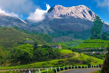 South India Tour to Kerala for 06 Days