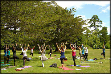 Yoga And Meditation Experience at Lodhi Gardens in Delhi