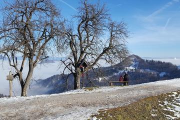 HIKING ABOVE LJUBLJANA, VIEW TO THE ALPS