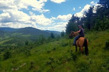MEDITERRANEAN RIDE WITH A VIEW