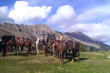 The Alps: DOBRCA MOUNTAIN