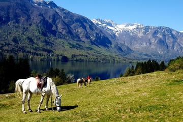 Trail riding in Triglav National Park