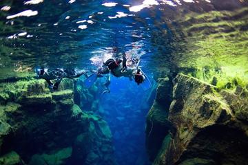 Small-Group Snorkeling Experience at Silfra Fissure in Thingvellir...