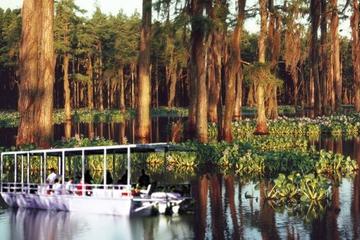 Full-Day Oak Alley and Laura Plantation Tour from New Orleans