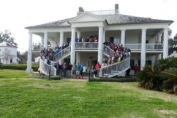Oak Alley and Evergreen Plantation Tour from New Orleans