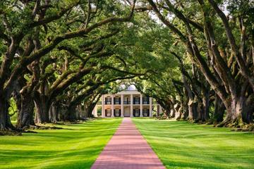 Oak Alley and Evergreen Plantations Plus Swamp Tour from New Orleans