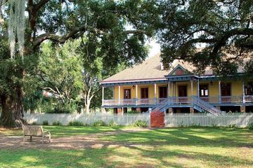 Oak Alley and Laura Plantation Group Tour from New Orleans