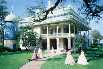 Oak Alley and San Francisco Plantation Tour from New Orleans