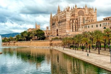 Palma Cathedral Entrance Ticket