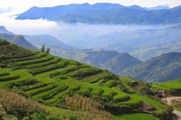 1 day Private tour Sapa trekking Y Linh Ho - Lao Chai - Ta Van (start from Sapa)