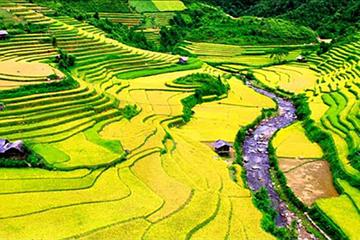 2 days 1 night Private tour Sapa and Ham Rong trekking, day bus from Hanoi