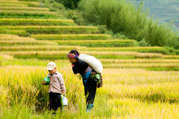 2 days 2 nights Private tour Sapa trekking homestay, train and luxury bus