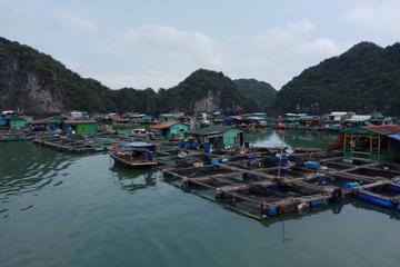 2 Days Ha Noi Cat Ba Lan Ha Bay on Emerald Cruise Premium depart from Ha Noi