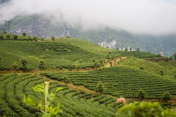 2days1nite Private tour Sapa trekking and homestay experience,day bus from Hanoi