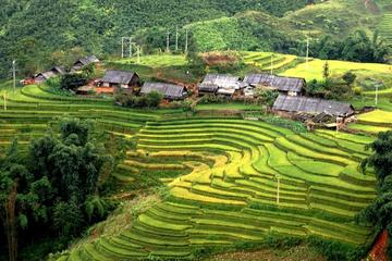 3 days 3 nights Private tour Sapa trekking homestay experience from Hanoi