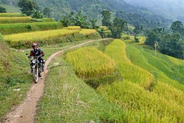 3 nights 2 days Private tour Sapa motorbike and homestay experience from Hanoi