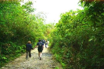 Cat Ba National Park Trekking Full Day from Cat Ba Island