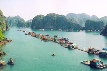 Cat Ba Tours 1 Day Lan Ha Bay Ha Long Bay Bai Tu Long Bay Kayaking From Cat Ba