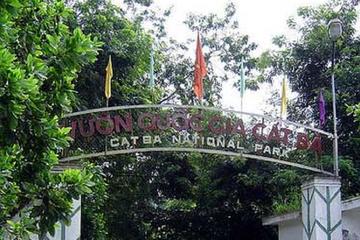 Cat Ba Trekking Tours National Park Half Day From Cat Ba Island
