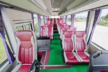 Daily Shuttle Bus Catba- Hanoi Transportation Small Group