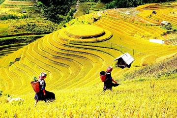 Day trip Ha Giang Trekking Tour from Ha Giang