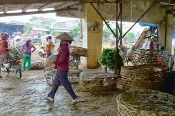 Discover Hoi An Countryside by Jeep from Hoi An