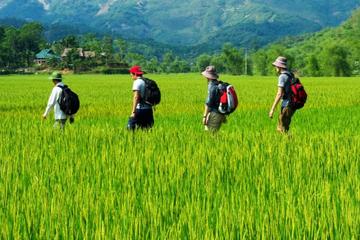 Exclusively Discovering Mai Chau Pu Luong Nature Reserve 3 Days 2 Nights