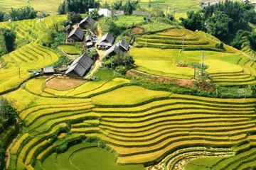 Sapa Trekking 2 days 1 night group tour - hotel - day bus from Hanoi