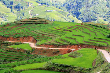 Sapa trekking 2 days 2 nights group tour - homestay from Hanoi