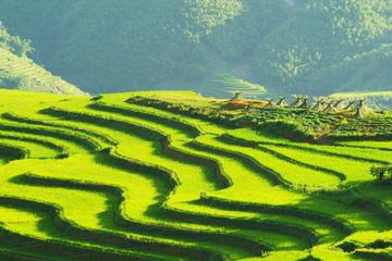 Sapa Trekking Group Tour by Bus from Hanoi with 2 Nights Hotel stay