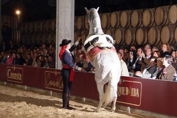 Jerez and Cadiz Day Trip from Costa del Sol with Winery Tour, Andalusian Horse Show and Sightseeing Cruise