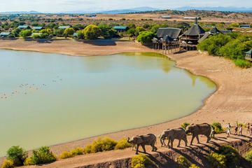 2-Day Glamping and South African Wildlife Safari from Cape Town