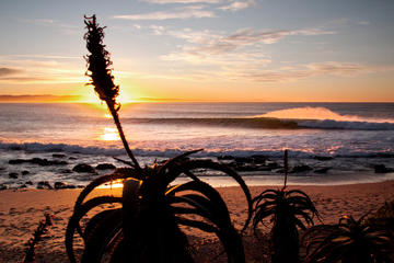 5-Day Garden Route Deluxe Adventure with Addo Safari Guided Tour from Cape Town