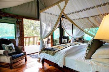 Garden Route 4-Day Luxury Private Guided Tour from Cape Town