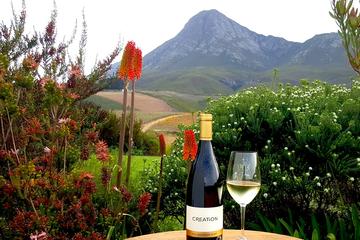 Hemel-en-Aarde Valley Wine and Whale Coast Private Tour from Cape Town
