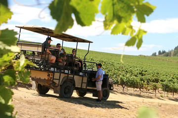 Private Stellenbosch Vine Voyage - Wine Safari and Reserve Wine & Brandy Tasting