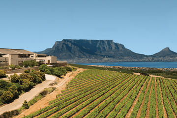 Private Tour: Durbanville Wine Valley Tasting Tour from Cape Town