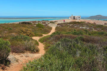 Private: West Coast Wonder Guided Tour from Cape Town