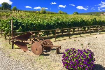 Chianti Wine and Vinci half day Tour from Montecatini Terme