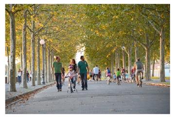 Guided bike Tour of Lucca - half day small group