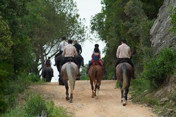 Horse Riding Small Group from Montecatini Terme