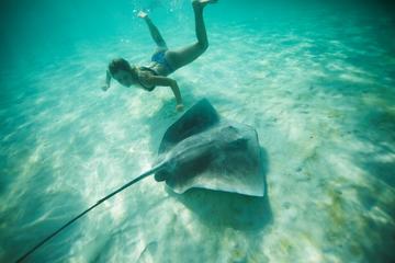 Private 4-Hour Boat Tour of Moorea Lagoon