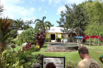 Panoramic Shore Tour