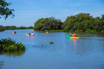 Half Day Kayaking Tour From Siem Reap