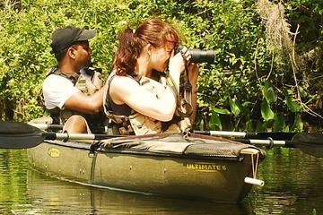 Day Trip Mangrove Tunnel Kayak Eco Tour near Naples, Florida 
