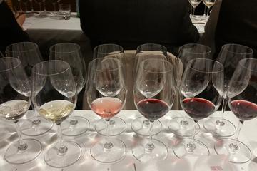 Wine Tasting and Food Pairing Class in Rome Led by a Sommelier