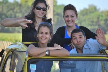 Private 2CV Tour of the Medoc from Bordeaux